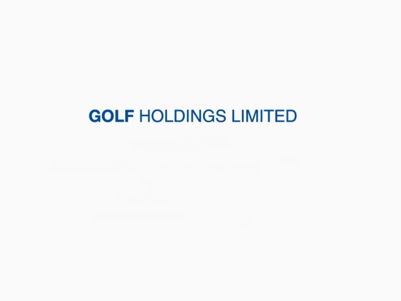 Analyst/ Programmer - Golf Holdings Ltd at Golf Holdings