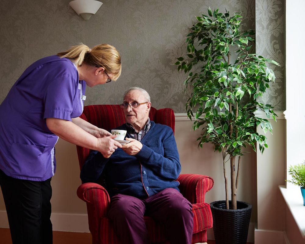Evergreen Care image 2